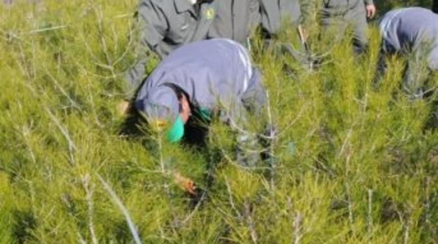 Silvik&uuml;lt&uuml;r Eğitim Seminerleri Başladı