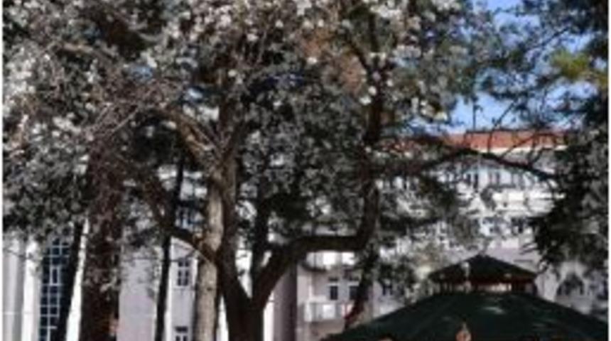 Simav&rsquo;da Erken Bahar