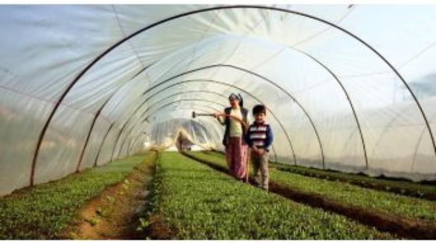 Sarıg&ouml;l&rsquo;de Yaz Sebze Fidesi Hazırlığına Başlandı