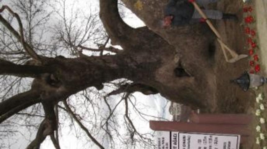 Muhtarın Zor G&ouml;revi