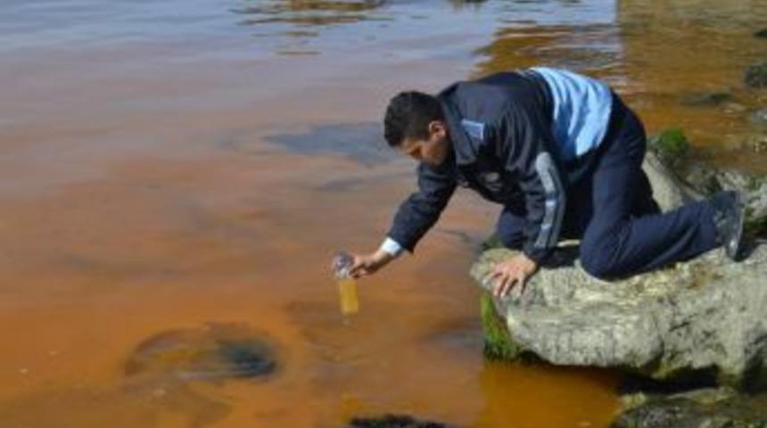 Denizdeki kızıl tabakanın sebebi belli oldu