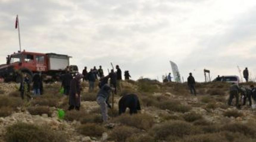 Kilisliler Doğaya Fidan Borcunu &Ouml;dedi