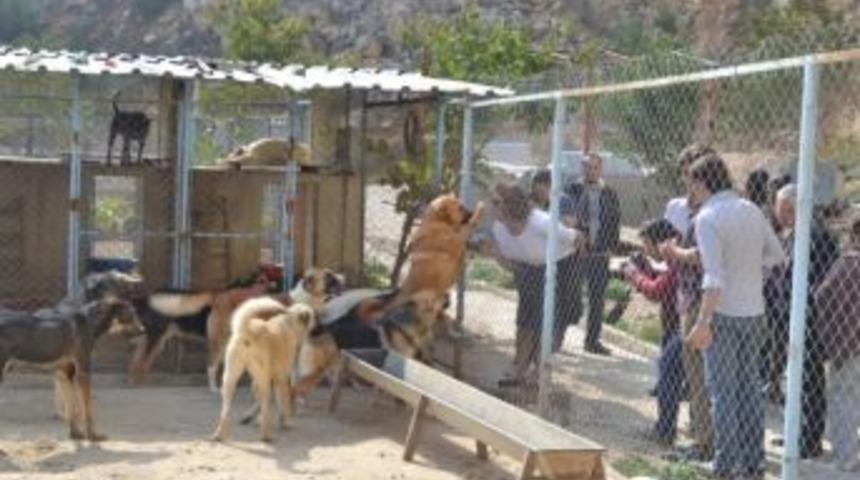 &Ouml;ğrencilerin Barınak Ziyaretinde Gerginlik