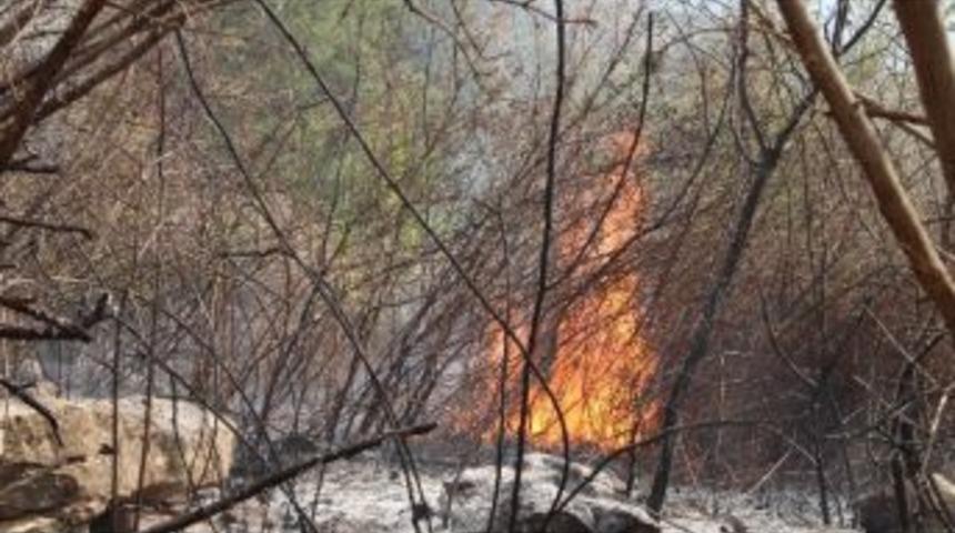 Mut&rsquo;ta 8 D&ouml;n&uuml;m Sazlık Alan Yandı