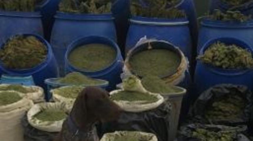 Diyarbakır&rsquo;da 892 Kilo Esrar Ele Ge&ccedil;irildi