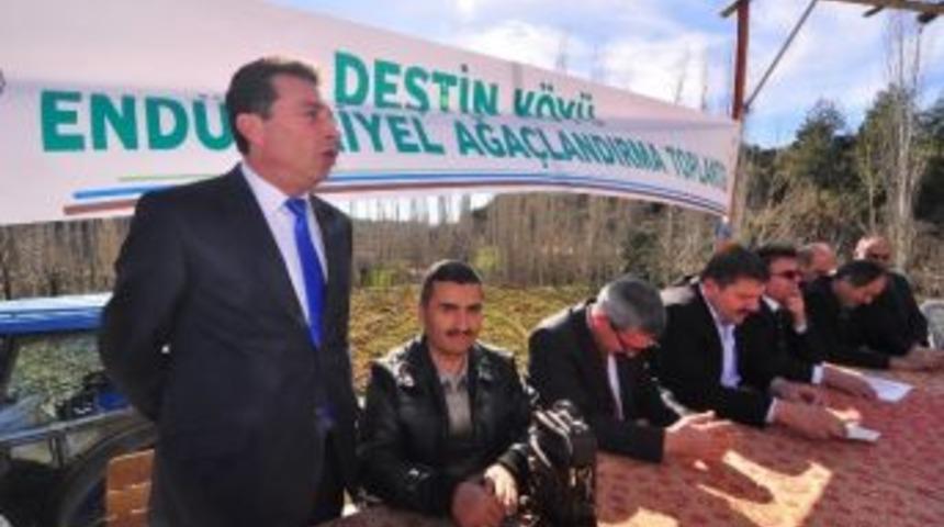 End&uuml;striyel Ağa&ccedil;landırmanın İlk Adımı Deştin&rsquo;de Atıldı