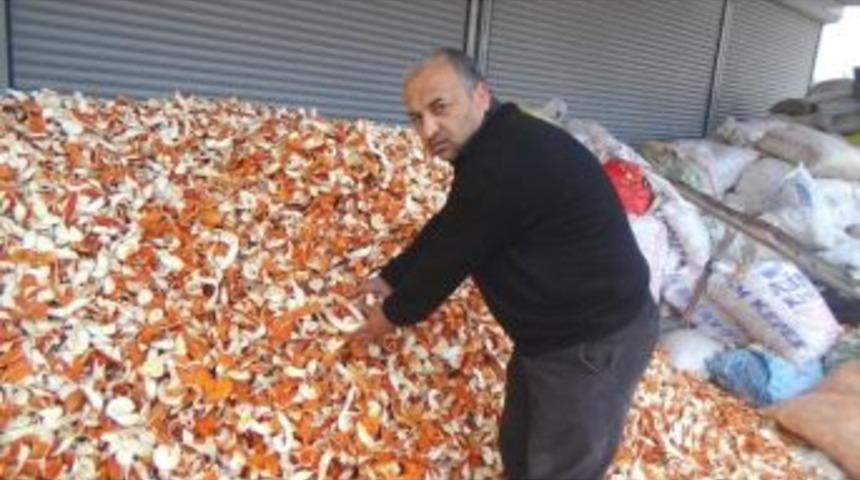 (&ouml;zel Haber) Kabuğu Portakaldan Pahalı