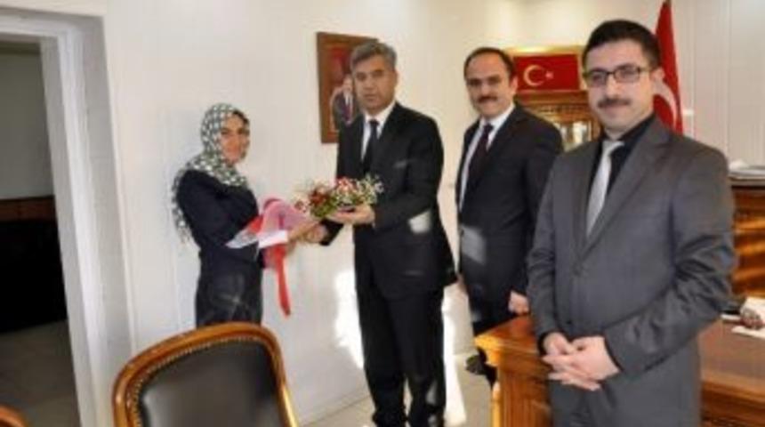 Siverek'te Vergi Haftası Etkinlikleri