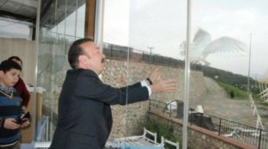 Başkan Doğan İzmit&rsquo;e Kuş Cenneti Yapacak