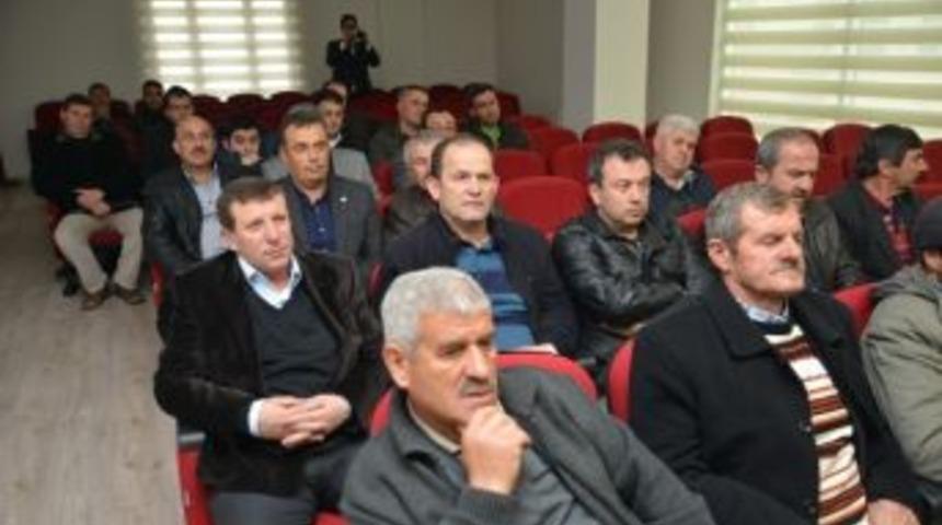 Gemlik Zeytini Koruma Altına Alınıyor