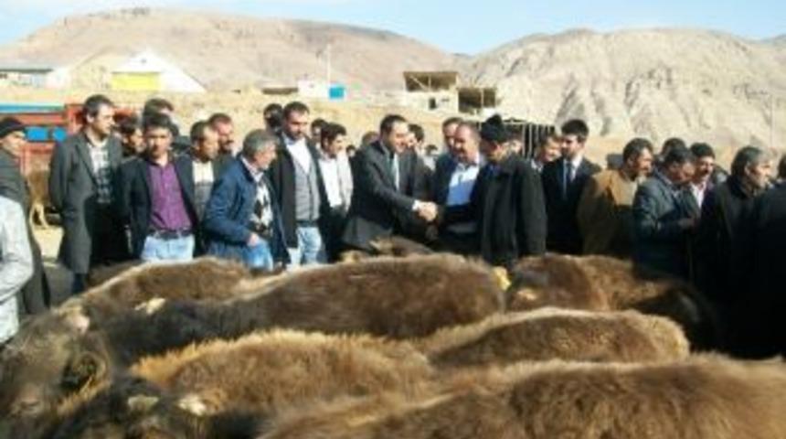 Narman Bağımsız Belediye Başkan Adayı Kınalı, Pazarcıların Sorunlarını Dinledi