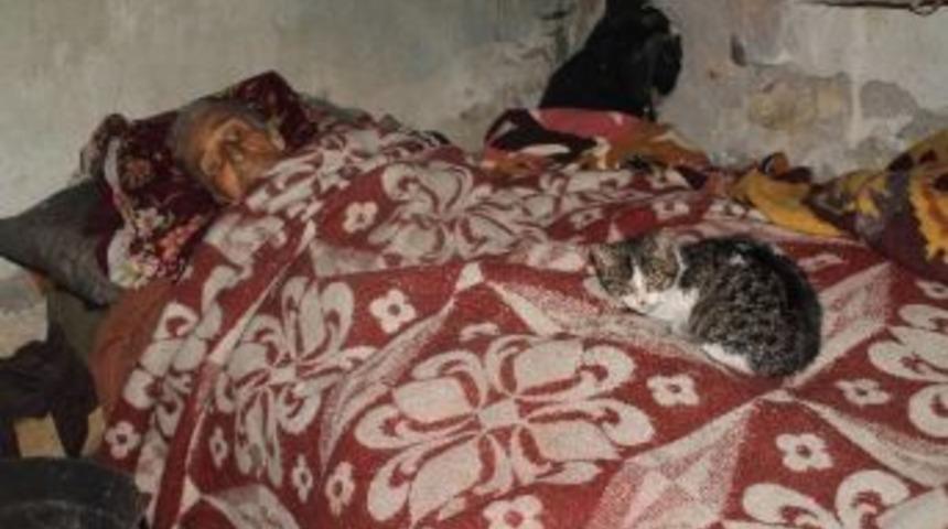 (&ouml;zel Haber) 73 Yaşındaki Neziye Nine: "beni &Ccedil;&ouml;pl&uuml;ğe Atın Orada &Ouml;leyim"