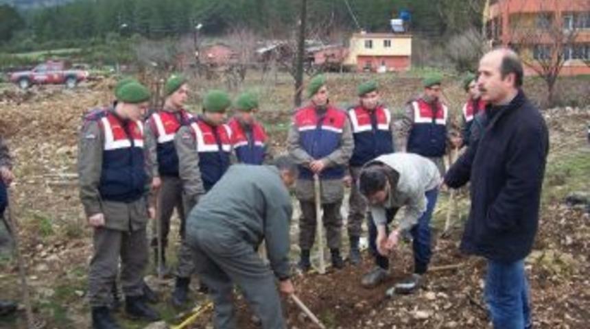 Korkuteli Jandarma 175'inci Kuruluş Yılı Nedeniyle Hatıra Ormanı Oluşturdu