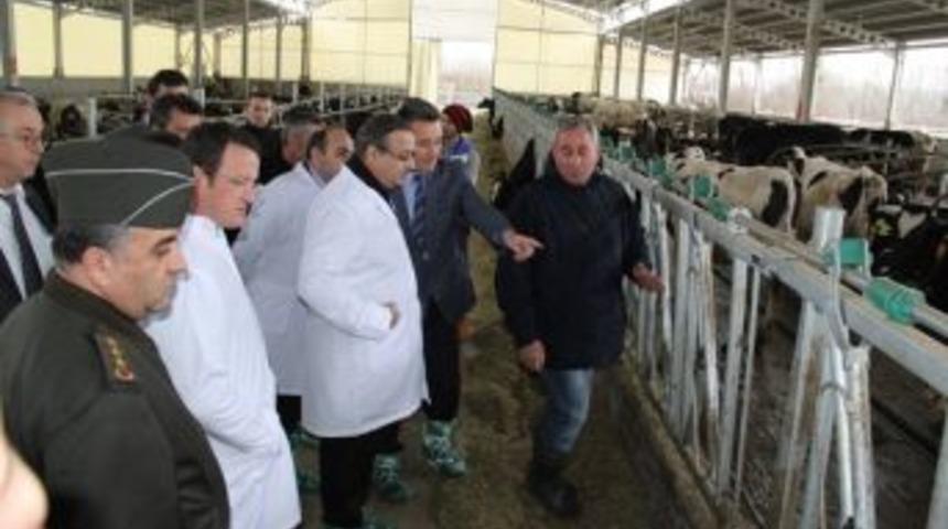 Vali, Tarımsal İşletmeleri İnceledi