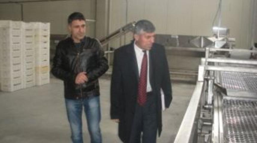 Selvi: &ldquo;tarım Hibe Desteklerinden Yeterince Yararlanılmıyor&rdquo;