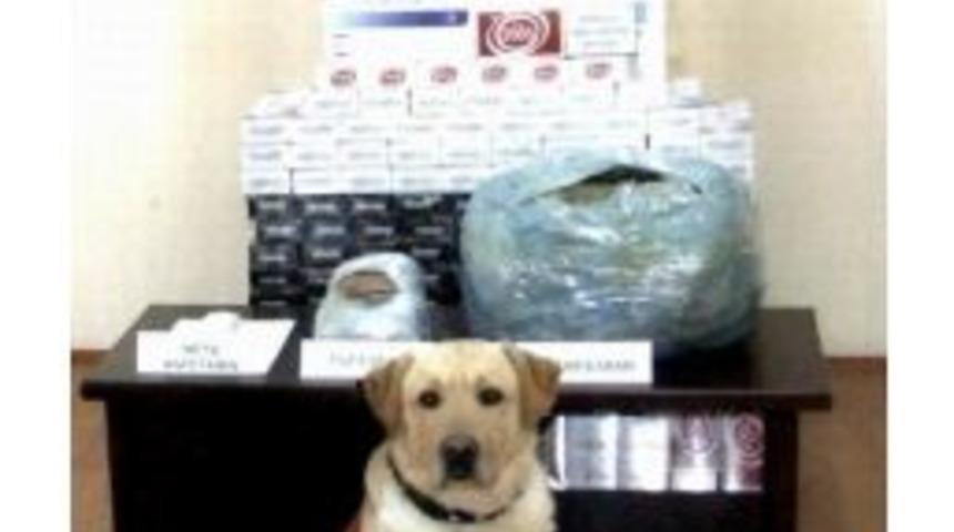 Jandarma Uyuşturucuya Ge&ccedil;it Vermiyor