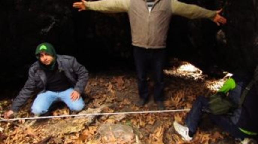 2 Bin 800 Yıllık "zont&rsquo;un &Ccedil;ınarı" Kurudu