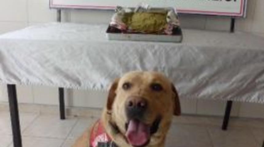 Yozgat&rsquo;ta Esrar Operasyonu