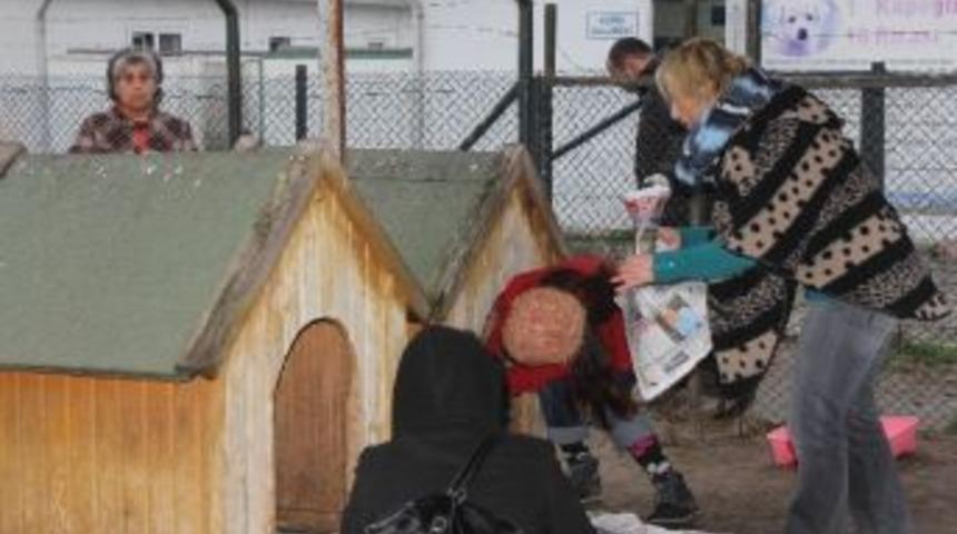 Hayvanseverler &Ouml;nce &Uuml;z&uuml;ld&uuml; Sonra Sevindi