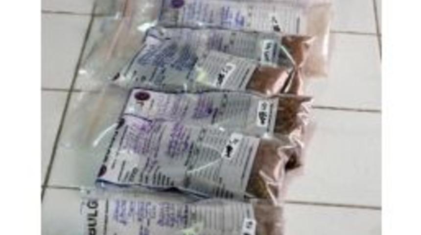 (özel Haber) Polenler Cinayetleri Aydınlatıyor