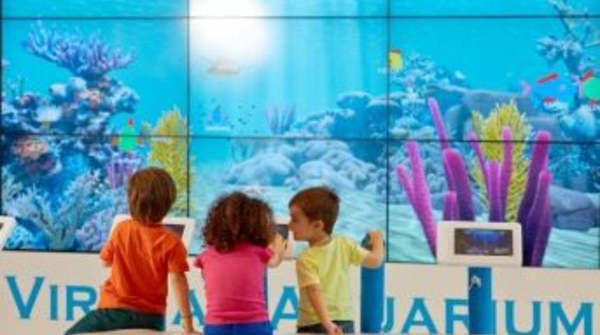 Bu Avm'de Balık Yetiştiren Kazanıyor