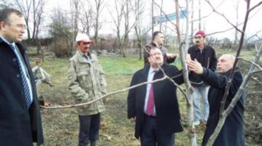 Kadir G&uuml;ven, Atakum&rsquo;da İncelemelerde Bulundu