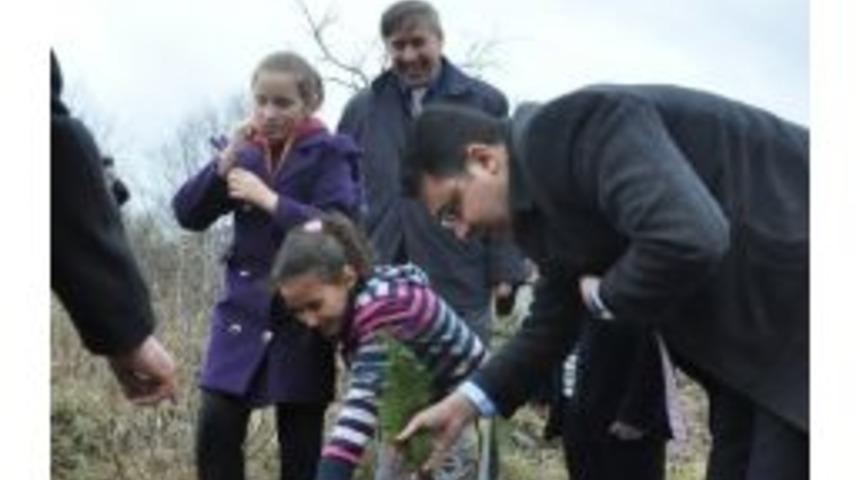 Benim De Bir Fidanım Var