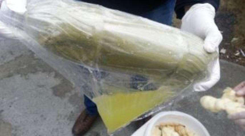 Peynir Bidonundan Esrar &Ccedil;ıktı