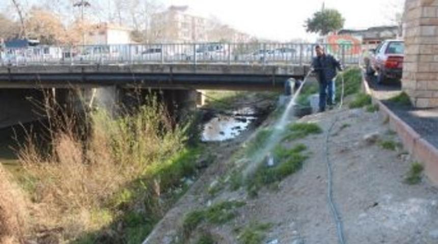 Edremit Belediyesi Sineksiz Bir Yaz İ&ccedil;in &Ccedil;alışıyor