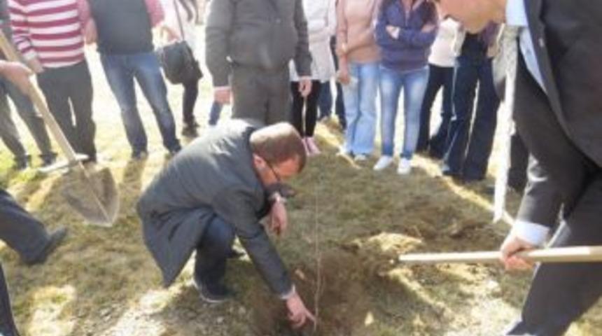 Tosya Meslek Y&uuml;ksek Olunu'na 400 Fidan Dikildi