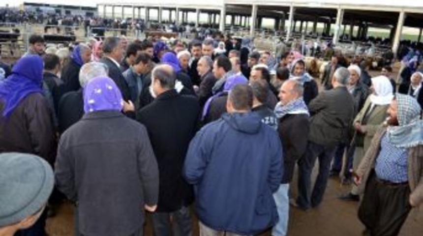 Başkan Fakıbaba, Tarım Kent Kompleksini Ziyaret Etti