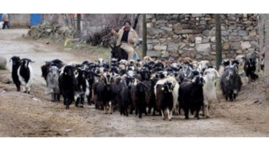 (&ouml;zel Haber) &Ccedil;oban Okulu A&ccedil;ıldı