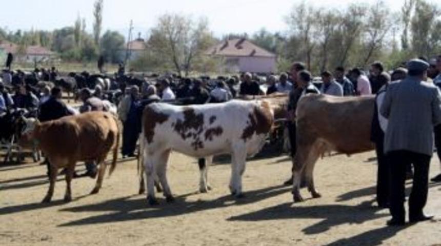 Hayvan Alım Satımında Yeni D&ouml;nem