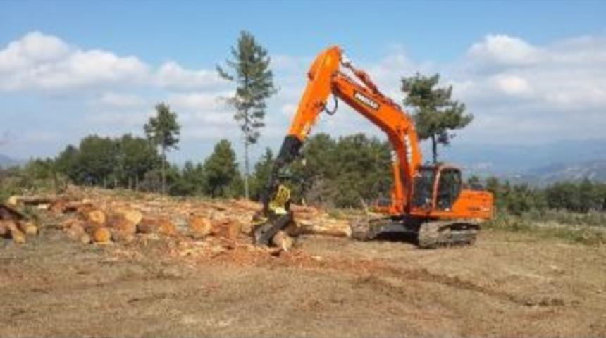 Ağa&ccedil; Kesme De Teknolojiye Uydu