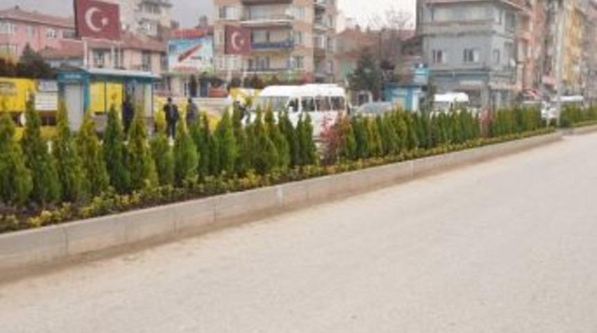 K&ouml;hne Beton Duvarların Yerini Yemyeşil Bitkiler Aldı