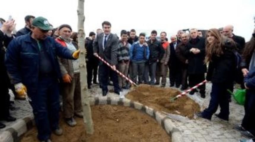 Bir Milyonuncu Fidan Toprakla Buluştu