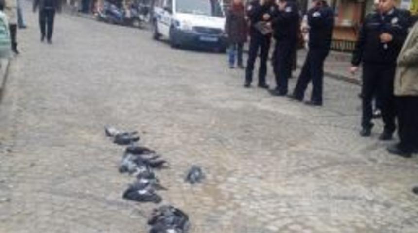 G&uuml;vercinleri Ezen S&uuml;r&uuml;c&uuml;ye 12 Bin Tl Ceza