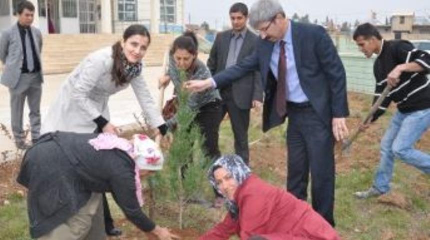 Ceylanpınar&rsquo;da Ağa&ccedil; Dikimi