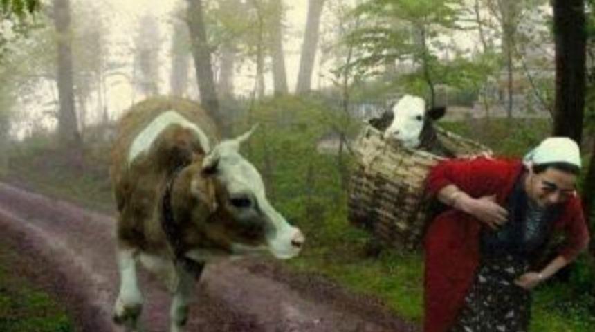 Bu Fotoğraf Artvin&rsquo;de Değil Samsun&rsquo;da &Ccedil;ekildi