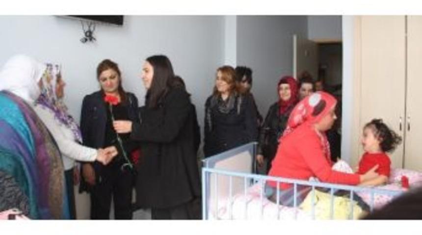 Hakkari&rsquo;de 8 Mart Etkinlikleri