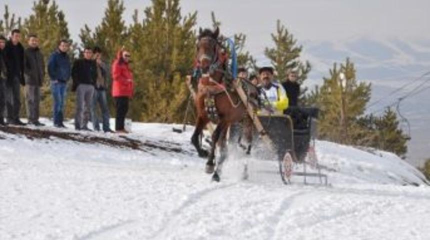 Buzlu Zeminde Atlı Kızak T&uuml;rkiye Şampiyonası