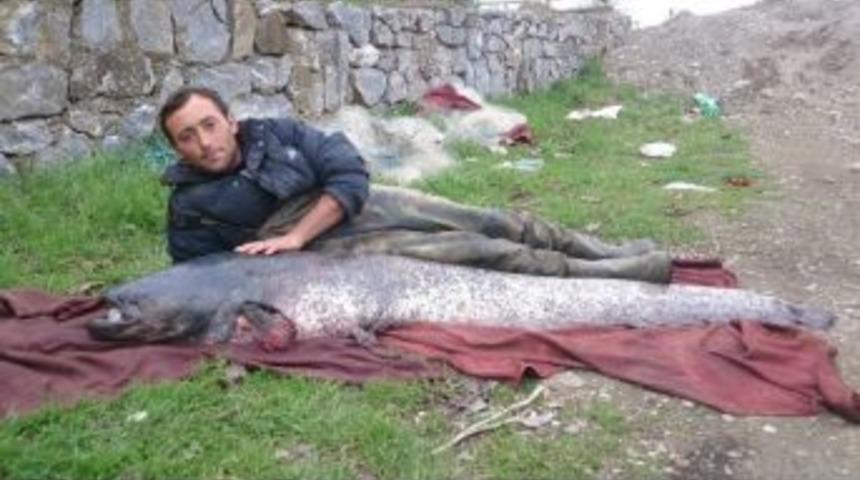 İznik G&ouml;l&uuml;nde Dev Yayın Yakalandı