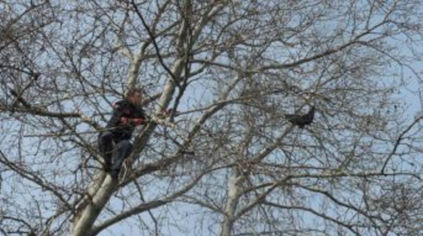 Ayağına ip dolanan g&uuml;vercini itfaiye kurtardı