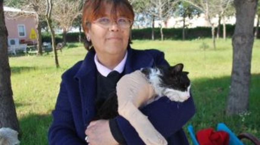 Belediye Başkanları Seferber Oldu, Paşa Sağlığına Kavuştu