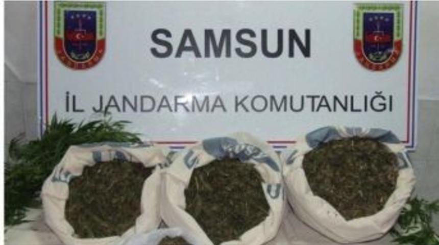 Samsun&rsquo;un Ka&ccedil;ak&ccedil;ılık Ve Organize Su&ccedil; İstatistikleri