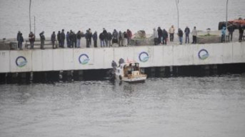 Denize Düşen Adamı Sopayla Kurtarmaya Çalıştılar