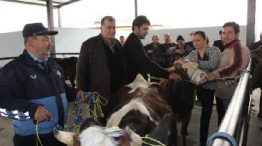 Tekkek&ouml;y Belediyesi Hayvan Satış Pazarı Hizmete Girdi