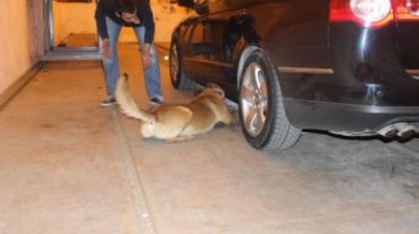 İpsala Sınırında Eroin Operasyonu