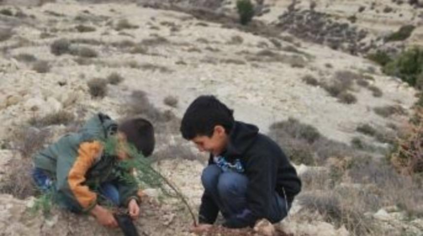 İyider&rsquo;in Fidan Dikme Etkinliği Renkli G&ouml;r&uuml;nt&uuml;lere Sahne Oldu