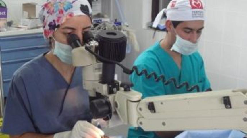 Tika Koordinasyonunda Afrika&rsquo;ya Yardım Eli